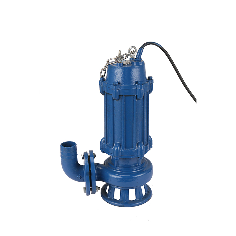 WQ（D）鑄鐵國(guó)標(biāo)法蘭污水污物潛水泵